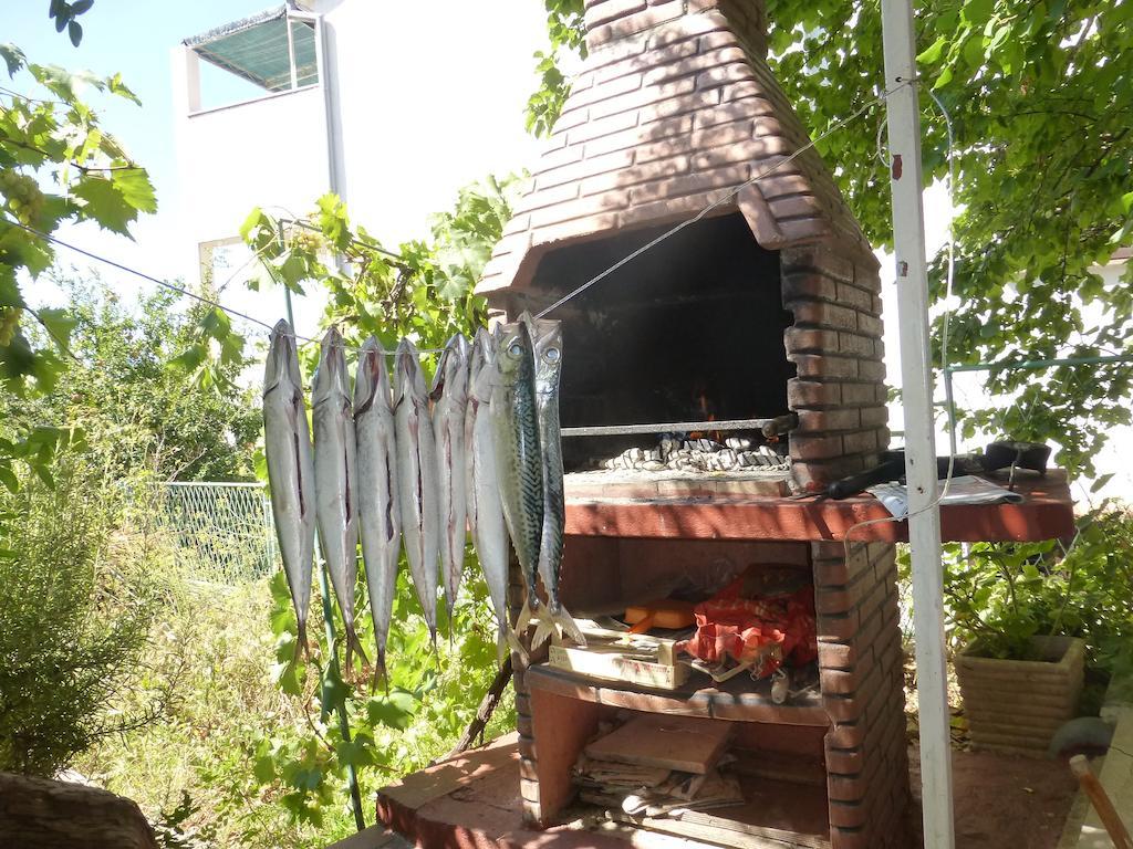 Apartment Zoric Grebaštica Oda fotoğraf